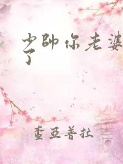 少帅你老婆又跑了