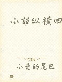 小说纵横四海