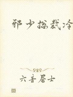 邪少总裁冷心秘