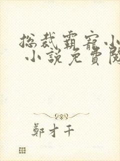 总裁霸宠小娇妻 小说免费阅读