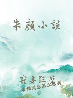 朱颜小说