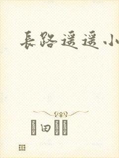 长路遥遥小说