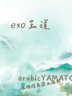 exo王道