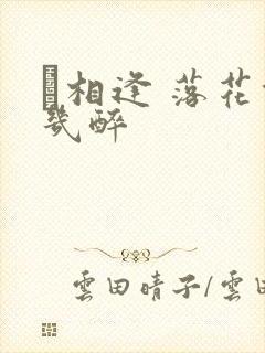 囍相逢 落花能几醉