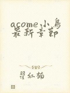 acome小鸟最新章节