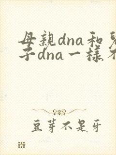 母亲dna和儿子dna一样不
