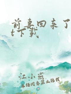 前妻回来了txt下载