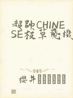 超帅CHINESE校草飞机BLUE