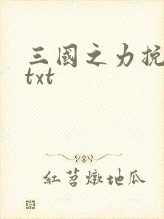 三国之力挽狂澜txt