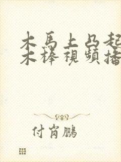 木马上凸起电动木棒视频播放