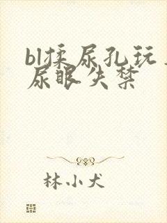 bl揉尿孔玩弄尿眼失禁