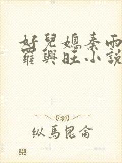 好儿媳秦雨罗明罗兴旺小说