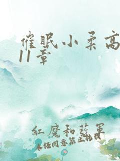 催眠小柔高达第11章