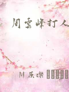 周云峰打人