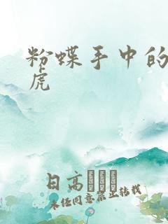 粉蝶手中的纸老虎