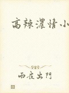 高辣浓情小说