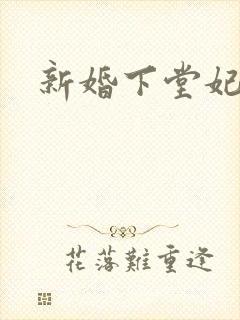 新婚下堂妃