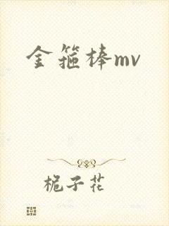 金箍棒mv