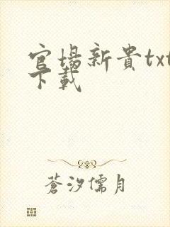 官场新贵txt下载