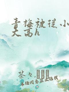 青梅被从小玩到大高h