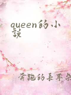 queen的小说