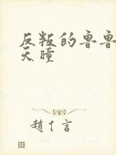 反叛的鲁鲁修之天瞳