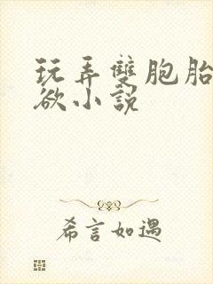 玩弄双胞胎的肉欲小说