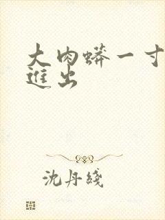 大肉蟒一寸一寸进出