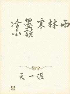 冷墨寒林雨彤的小说