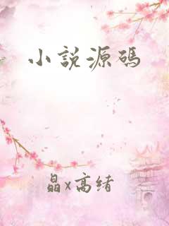 小说源码