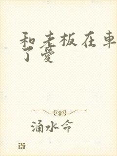 和老板在车里做了爱