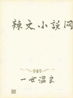 辣文小说网