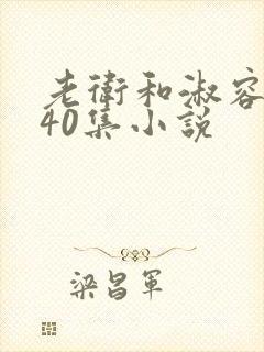 老卫和淑容1-40集小说