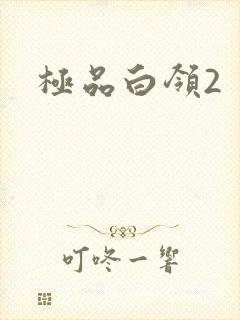 极品白领2