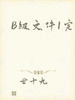 B级文件1完整