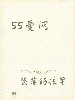55爱网