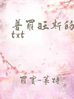 普罗旺斯的一年txt