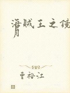 海贼王之镜花水月