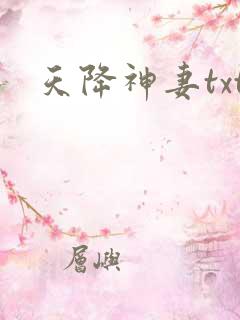天降神妻txt
