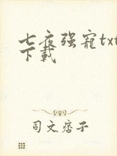 七夜强宠txt下载