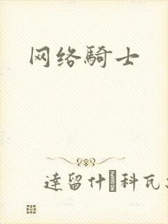 网络骑士