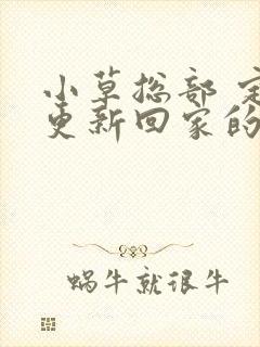 小草总部 定期更新回家的路