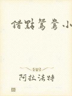 错点鸳鸯小说