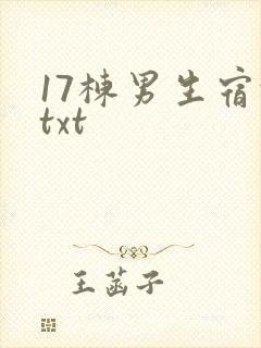 17栋男生宿舍txt