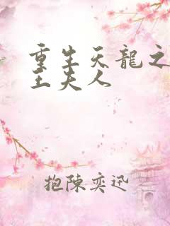 重生天龙之推倒王夫人