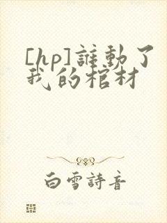 [hp]谁动了我的棺材