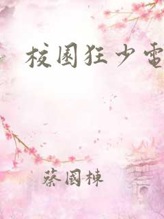 校园狂少电子书