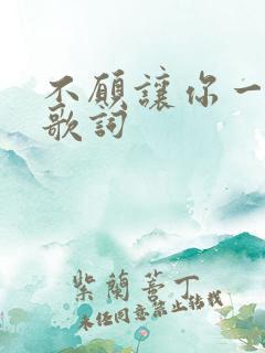 不愿让你一个人歌词