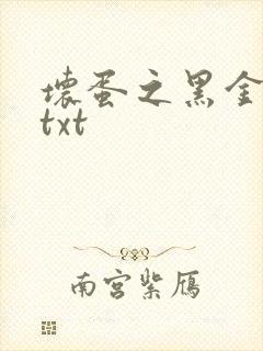 坏蛋之黑金帝国txt