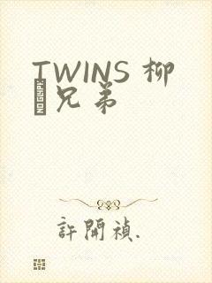 TWINS 柳澤兄弟